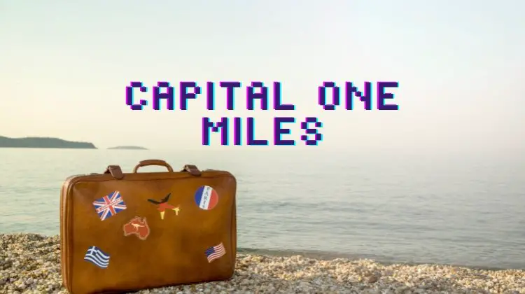 luggage with stickers on beach