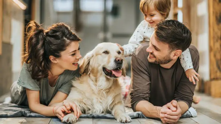 young family laying down on the floor with family dog